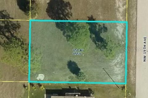 Land in Cape Coral, Florida № 213716 - photo 1