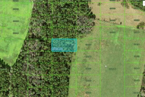 Land in Polk City, Florida № 2235134