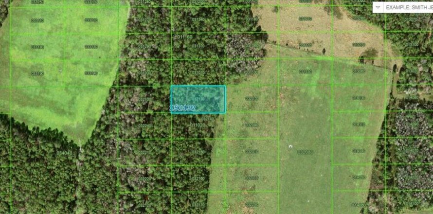 Terrain à Polk City, Floride № 2235134