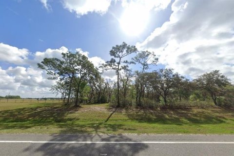 Terrain à vendre à Polk City, Floride № 2235134 - photo 2
