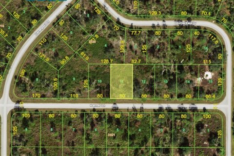 Land in Port Charlotte, Florida № 2159040 - photo 2