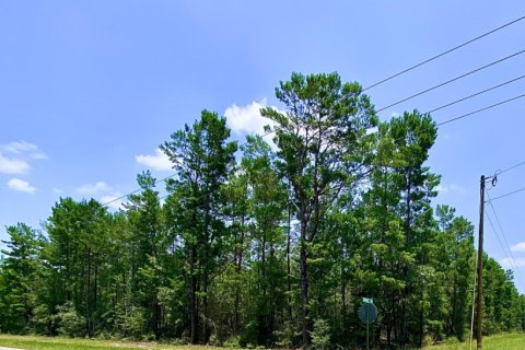 Land in Crestview, Florida № 590452 - photo 1