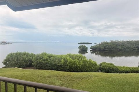 Copropriété à louer à Tierra Verde, Floride: 1 chambre, 61.78 m2 № 2408384 - photo 14