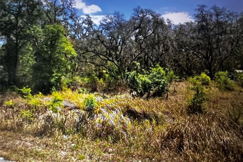 Land in Ocala, Florida № 2161490 - photo 10