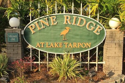 Condo in Tarpon Springs, Florida, 2 bedrooms  № 1443037 - photo 25
