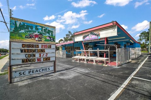 Propiedad comercial en venta en Apopka, Florida, 148.46 m2 № 1905782 - foto 1
