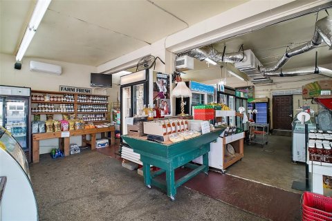 Propiedad comercial en venta en Apopka, Florida, 148.46 m2 № 1905782 - foto 8