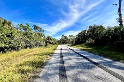 Land in Port Charlotte, Florida № 2159937 - photo 3