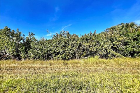 Land in Port Charlotte, Florida № 2159937