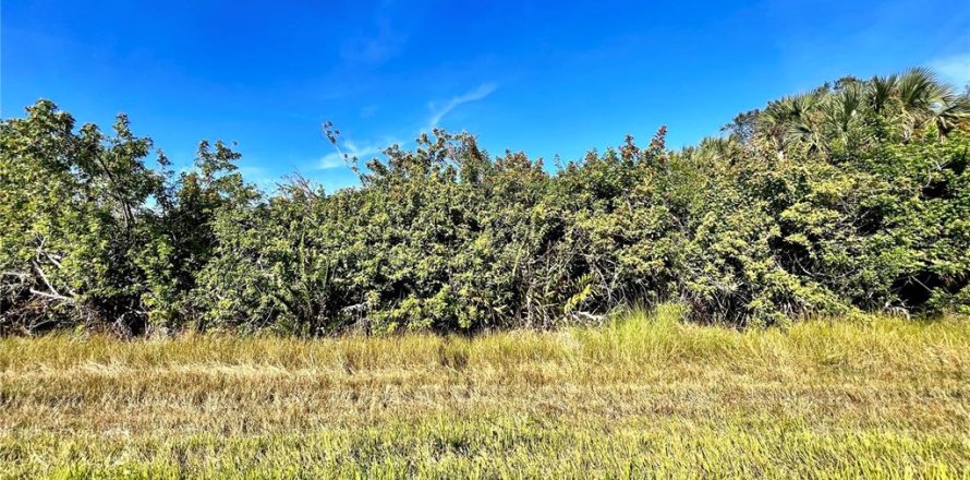 Land in Port Charlotte, Florida № 2159937