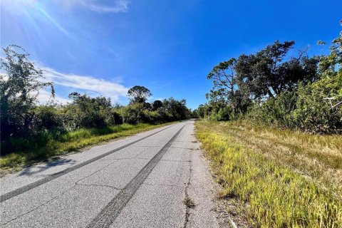 Land in Port Charlotte, Florida № 2159937 - photo 2
