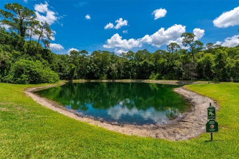 Condo in Palm Harbor, Florida, 2 bedrooms № 2197225 - photo 30