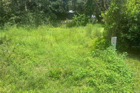 Terreno en venta en Sarasota, Florida № 1592642 - foto 1