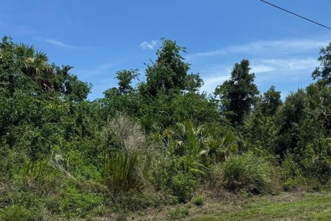 Land in Ocala, Florida № 2159114