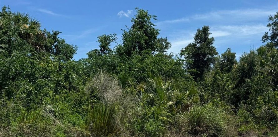 Terreno en Ocala, Florida № 2159114