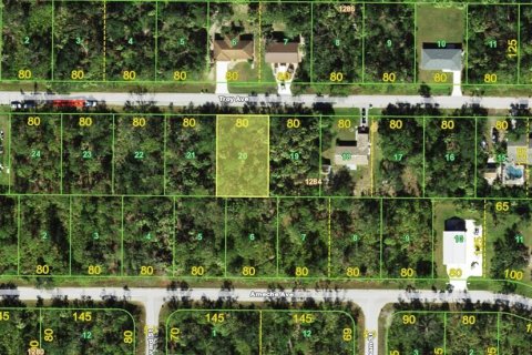 Land in Port Charlotte, Florida № 2232675