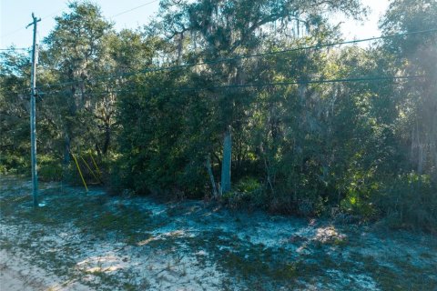 Land in Keystone Heights, Florida № 2165460 - photo 4