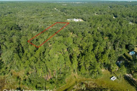 Land in Keystone Heights, Florida № 2165460 - photo 2