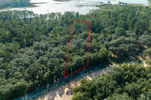 Land in Keystone Heights, Florida № 2165460 - photo 3