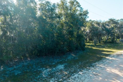 Land in Keystone Heights, Florida № 2165460 - photo 6