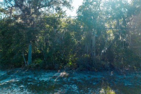 Land in Keystone Heights, Florida № 2165460 - photo 5
