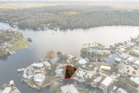 Terrain à vendre à Homosassa, Floride № 2214664 - photo 9
