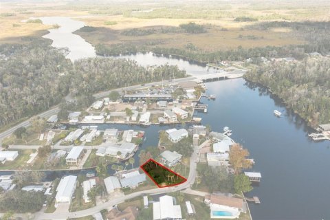 Terrain à vendre à Homosassa, Floride № 2214664 - photo 20