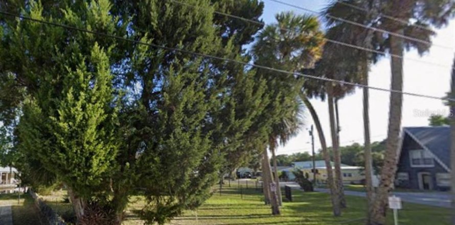 Terrain à Homosassa, Floride № 2214664