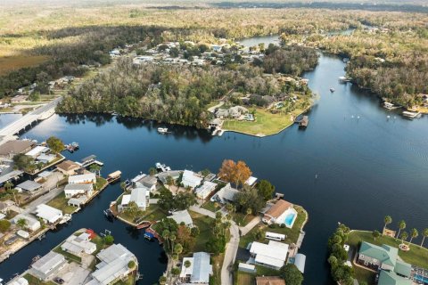 Terrain à vendre à Homosassa, Floride № 2214664 - photo 6