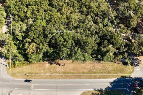 Land in Ocala, Florida № 1561310 - photo 1