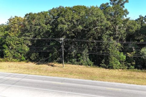 Land in Ocala, Florida № 1561310 - photo 2