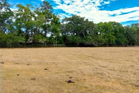 Terreno en venta en Ocala, Florida № 2101886 - foto 4