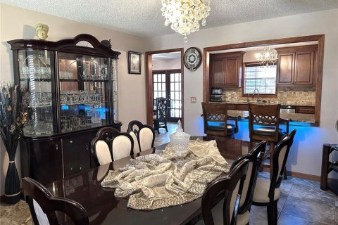 Villa ou maison à louer à New Port Richey, Floride: 4 chambres, 231.05 m2 № 2306348 - photo 12