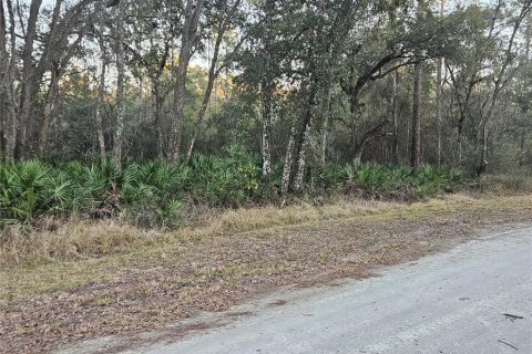 Land in Webster, Florida № 2329513
