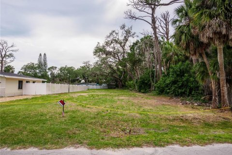 Land in Port Richey, Florida № 2148717 - photo 2