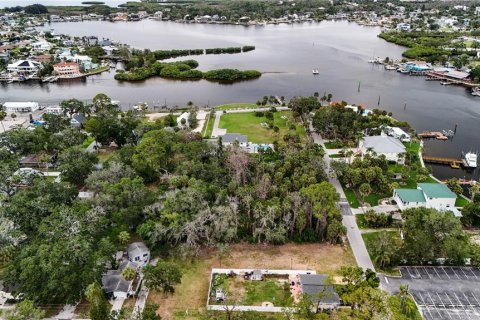 Land in Port Richey, Florida № 2148717 - photo 7