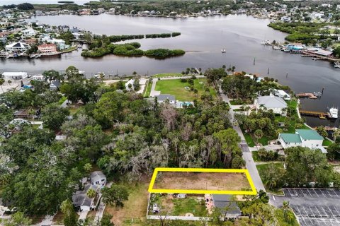 Land in Port Richey, Florida № 2148717 - photo 6