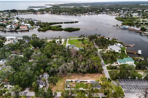 Land in Port Richey, Florida № 2148717 - photo 5
