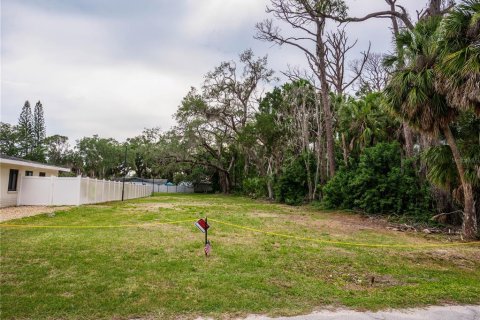 Land in Port Richey, Florida № 2148717