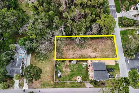 Land in Port Richey, Florida № 2148717 - photo 3