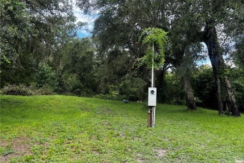Land in Ridge Manor, Florida № 1810095 - photo 8