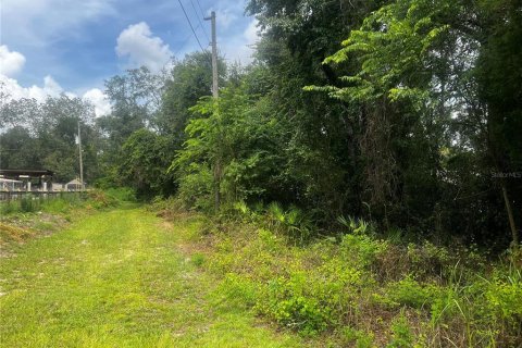 Land in Ridge Manor, Florida № 1810095 - photo 3