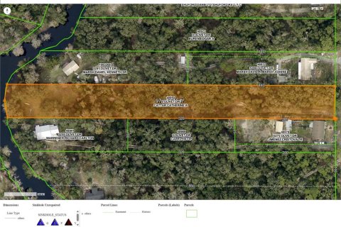 Land in Ridge Manor, Florida № 1810095 - photo 1