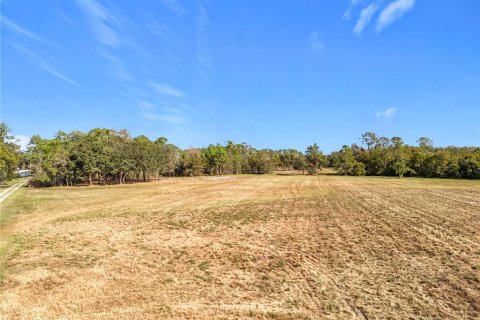 Land in Clermont, Florida № 1733516 - photo 16