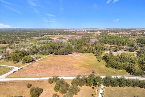 Land in Clermont, Florida № 1733516 - photo 13