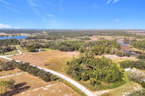 Land in Clermont, Florida № 1733516 - photo 12