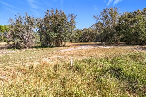 Land in Clermont, Florida № 1733516 - photo 17