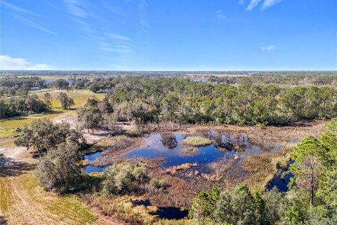 Land in Clermont, Florida № 1733516 - photo 6