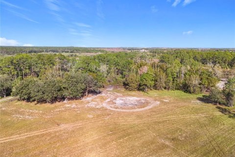 Land in Clermont, Florida № 1733516 - photo 15