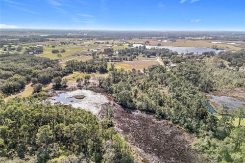 Land in Clermont, Florida № 1733516 - photo 9